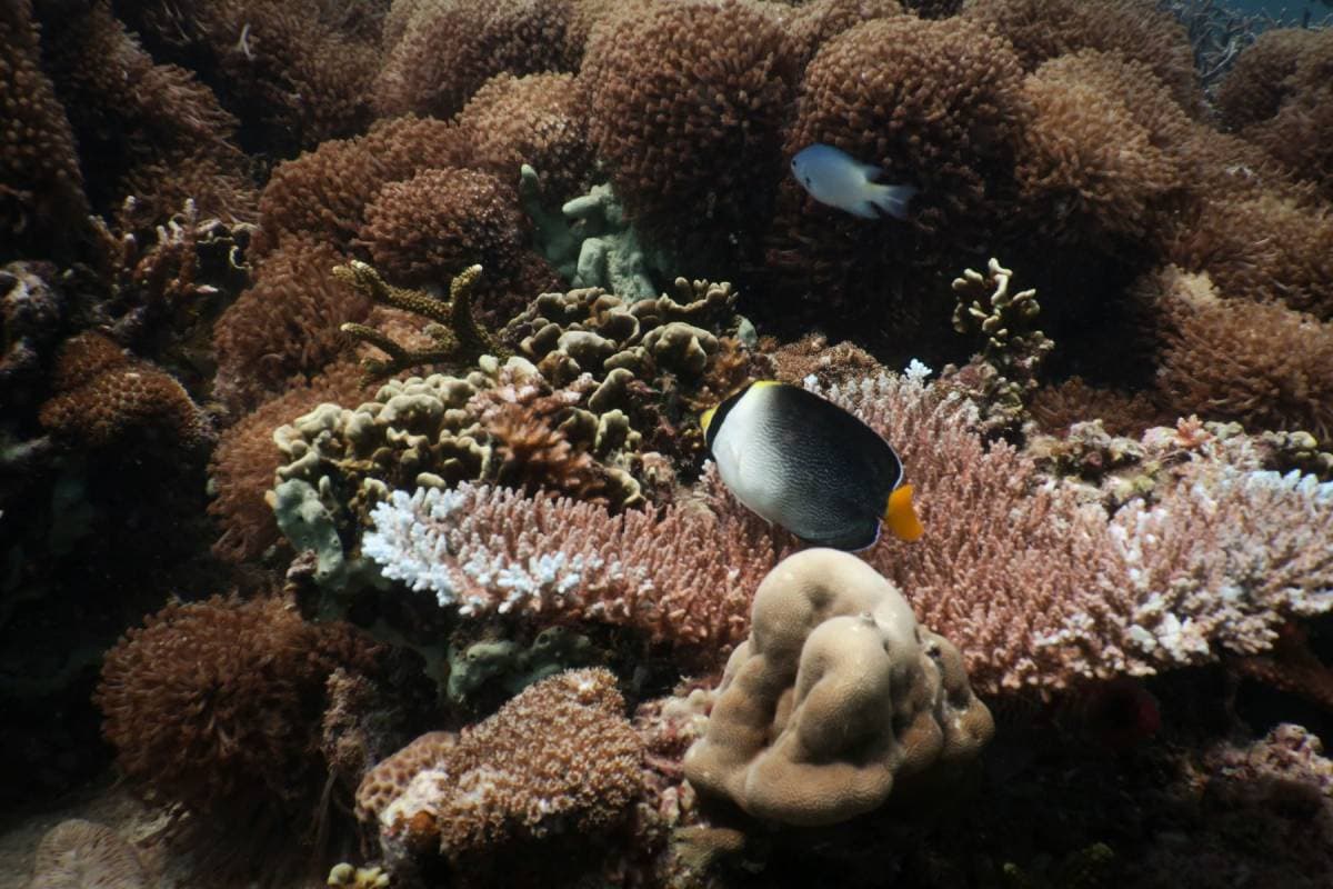 3/4D Aman Tioman Splash Party 2025