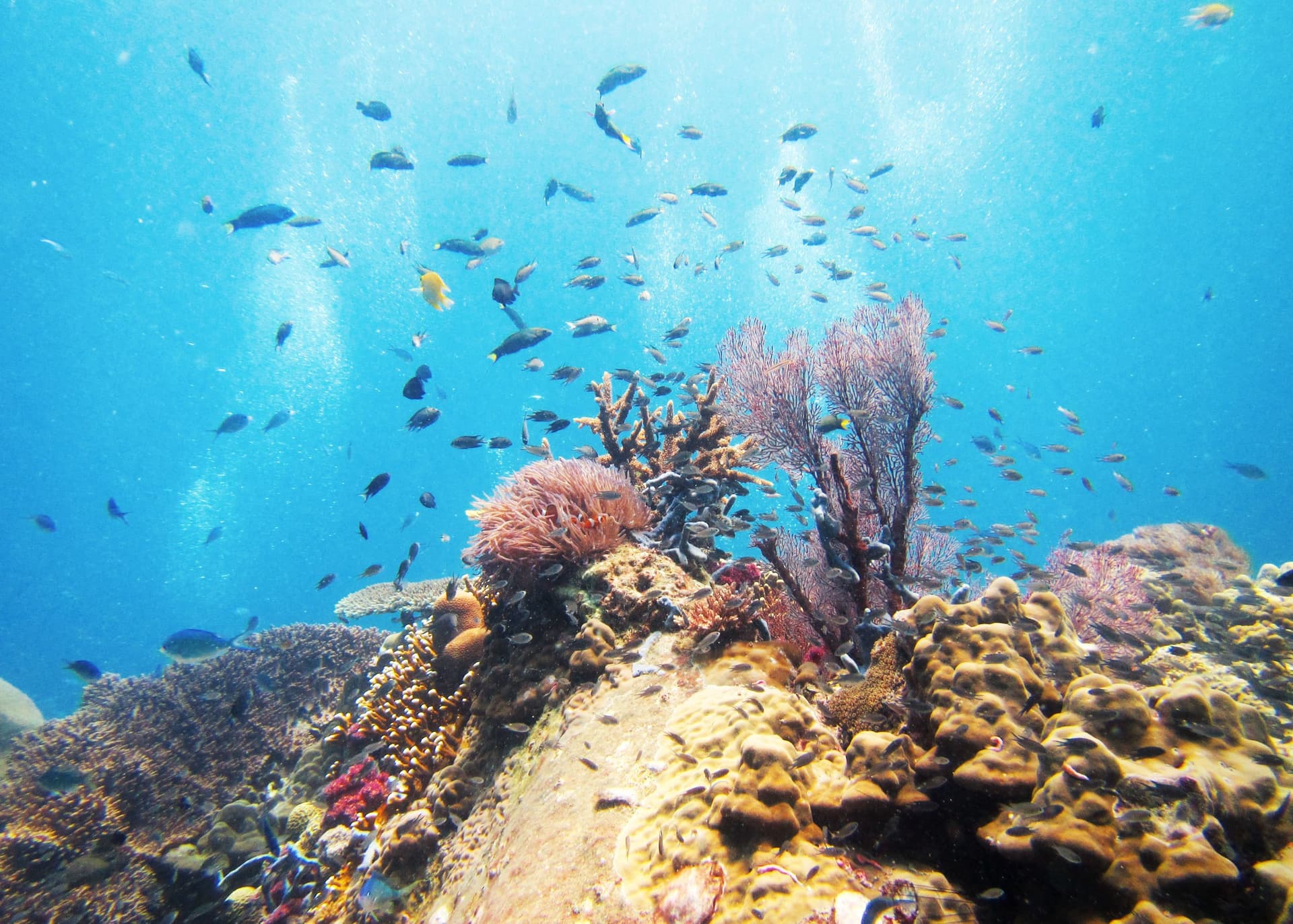 3/4D Sun Beach Resort Full Board Package-Tioman Island