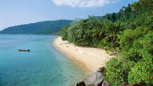 Tioman Island, a tropical paradise with clear blue water, sandy beach, and lush greenery.