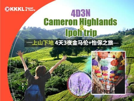 Cameron Highlands & Ipoh Trip