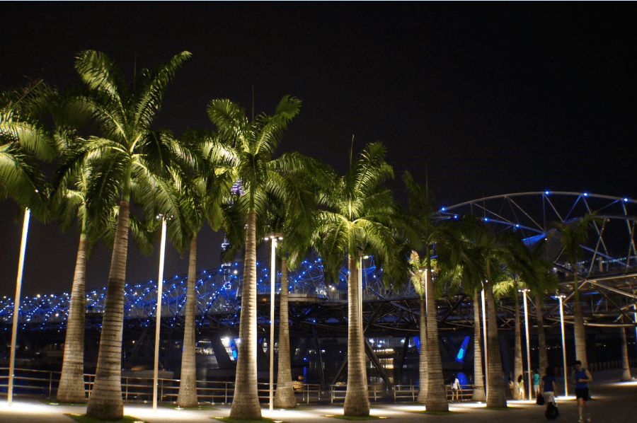 Guidelines of night trip by bus from Singapore to Genting Highlands