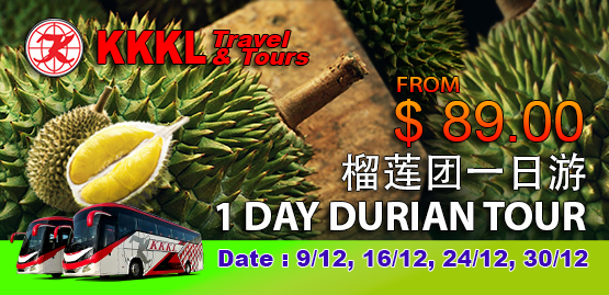 1 day malaysia durian tour