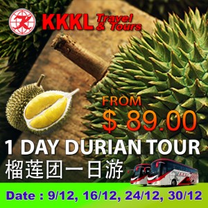 1 Day Durian Tour