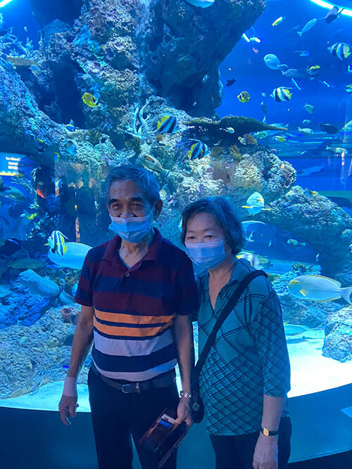 One Day Singapore Gardens by The Bay & SEA Aquarium Tour_SEA Aquarium Tour One Day Singapore Gardens by The Bay & SEA Aquarium Tour_SEA Aquarium Tour