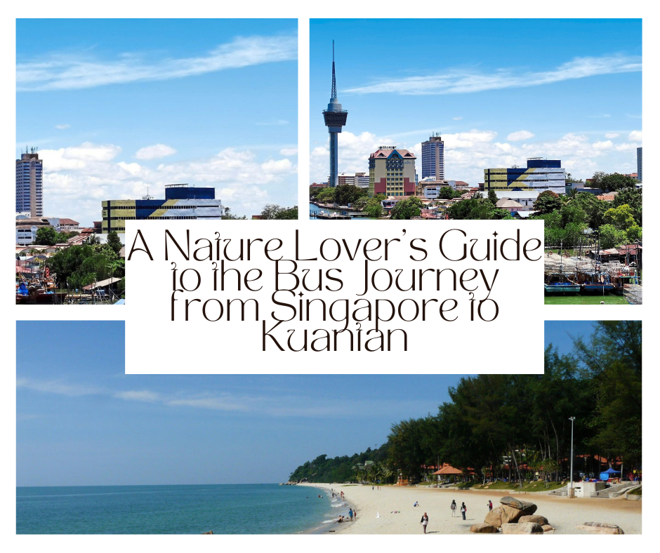 On nature lover guide to the bus journey from Singapore to Kuantan