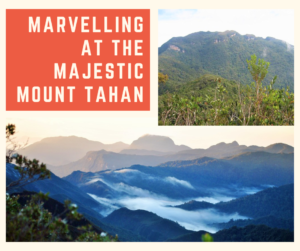 Marvelling at the Majestic Mount Tahan